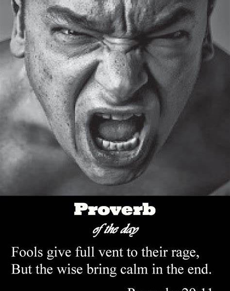 Fools vent their anger, but the wise quietly hold it back.” – Proverbs 29:11 (NLT)